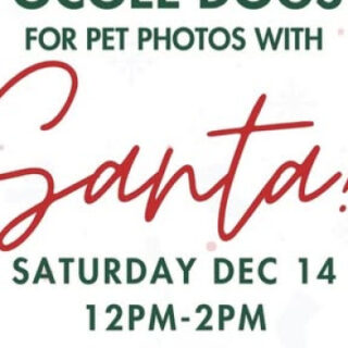 12/14 Pet Photos with Santa at Ocoee Dogs