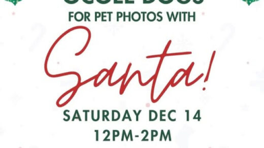 12/14 Pet Photos with Santa at Ocoee Dogs