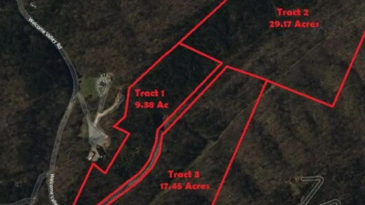 1/4 Agricultural Land for Auction in Benton, TN