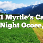 2/1 Myrtle’s Cafe Art Night Ocoee, TN