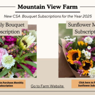 Mountain View Farm Bouquet Subscriptions are Open