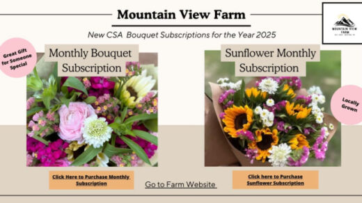 Mountain View Farm Bouquet Subscriptions are Open