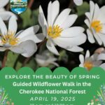 4/19 Step Into Spring with a Guided Wildflower Walk!