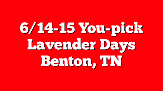 6/14-15 You-pick Lavender Days Benton, TN