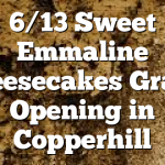 6/13 Sweet Emmaline Cheesecakes Grand Opening in Copperhill