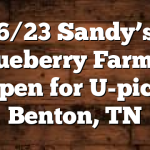 6/23 Sandy’s Blueberry Farm is Open for U-pick Benton, TN