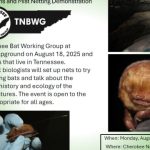 8/18 Tennessee Bat Working Group Talk