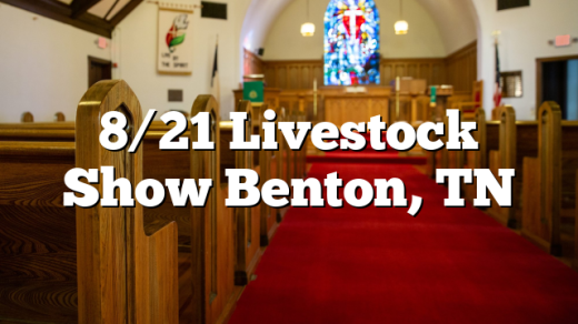 8/21 Livestock Show Benton, TN