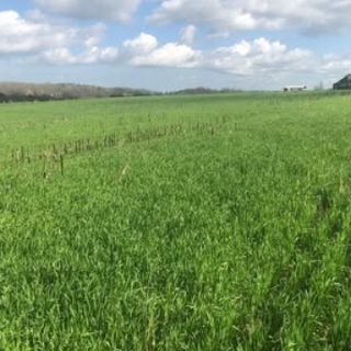 10/9 Farmers’ Appreciation at the Showbarn