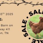 9/13 4H Poultry Show and Sale Benton, TN