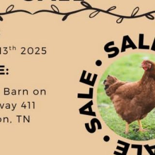 9/13 4H Poultry Show and Sale Benton, TN