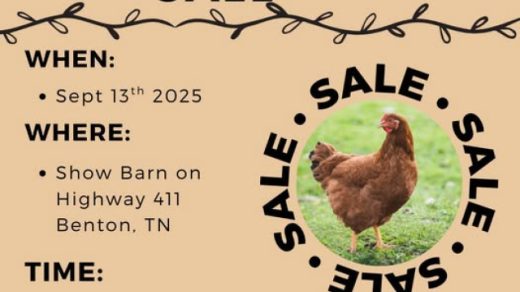 9/13 4H Poultry Show and Sale Benton, TN