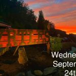 9/24 The TIME HAS COME for Myrtles