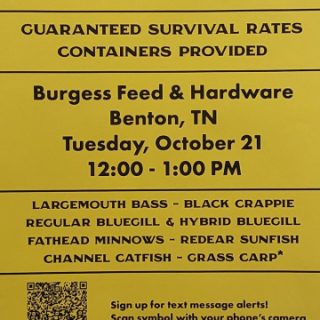 10/21 Fish Stocking Day at Burgess in Benton, TN