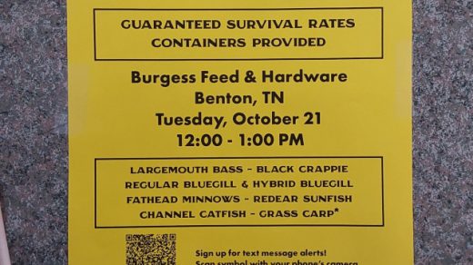 10/21 Fish Stocking Day at Burgess in Benton, TN