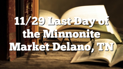 11/29 Last Day of the Minnonite Market Delano, TN