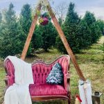 Vision Acres Christmas Tree Farm/Venue is Open for the Season Benton, TN