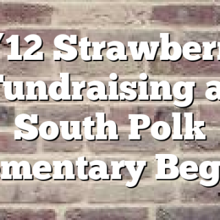 1/12 Strawberry Fundraising at South Polk Elementary Begins