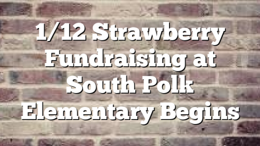 1/12 Strawberry Fundraising at South Polk Elementary Begins