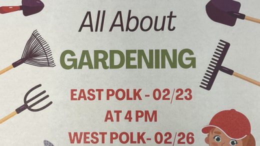 2/26 Tween Time at West Polk Library