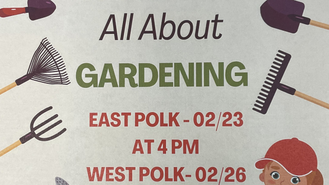 2/26 Tween Time at West Polk Library