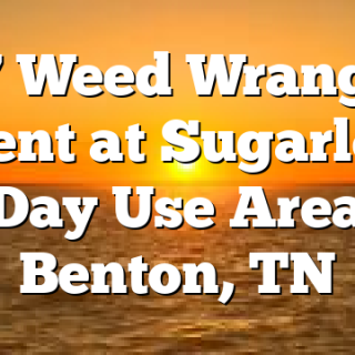 3/7 Weed Wrangler Event at Sugarloaf Day Use Area Benton, TN