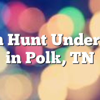 Man Hunt Underway in Polk, TN