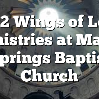4/12 Wings of Love Ministries at Maple Springs Baptist Church
