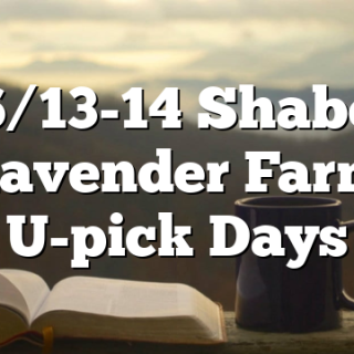 6/13-14 Shabo Lavender Farm U-pick Days