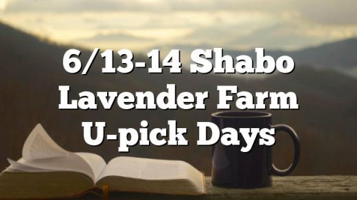 6/13-14 Shabo Lavender Farm U-pick Days