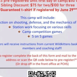 7/6-9 Polk County Wildkittens Basketball Camp