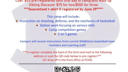 7/6-9 Polk County Wildkittens Basketball Camp