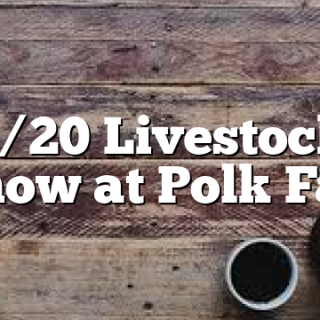 8/20 Livestock Show at Polk Fair