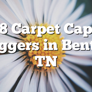 8/18 Carpet Capital Cloggers in Benton, TN